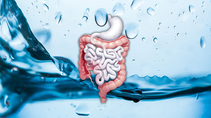 Indian Institute of Integrative Oncology