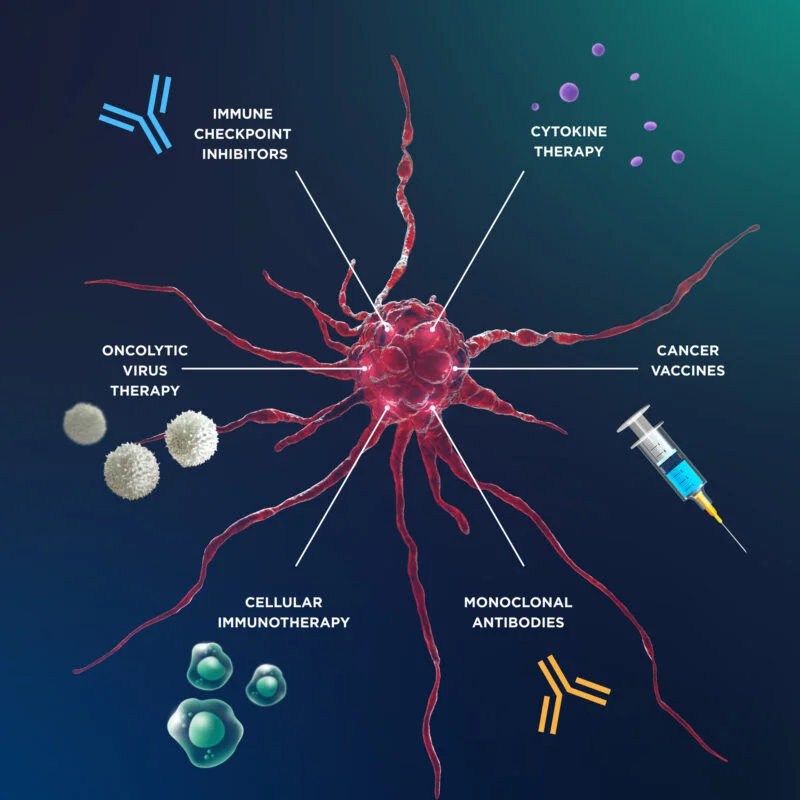 Mistletoe Therapy at IIIO